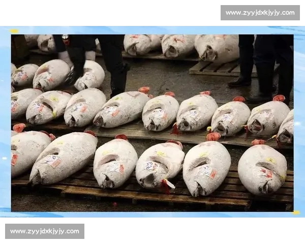 比赛数据背后的真相与常见解读误区分析